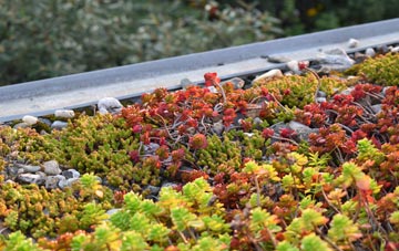 the cost of Bishpool green roof installation