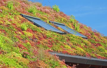 Bishpool living roof systems